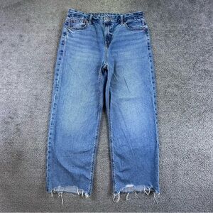 American Eagle Jeans Womens 10 Short Blue Curvy Stovepipe Hi Rise Baggy Wide Leg